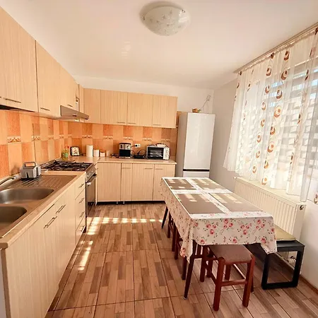 Vila Dragomir-2
