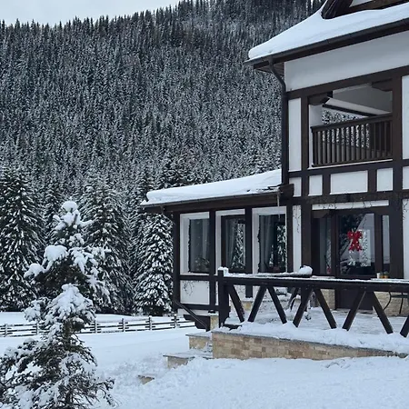 Chalet Alpina-3