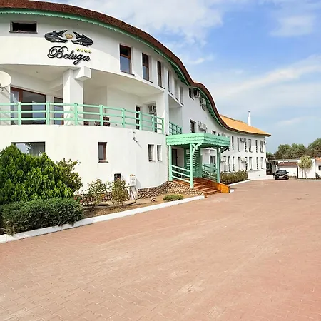 Pensiunea Beluga-2
