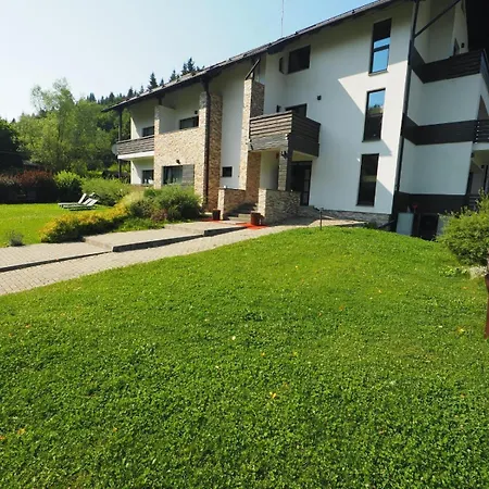 Comoara Rarăului-2