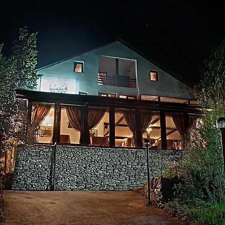 Pensiune-Restaurant Tara Luanei-3
