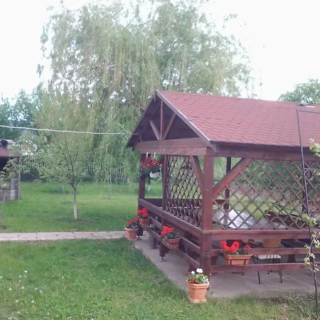 Vila Vlad-2