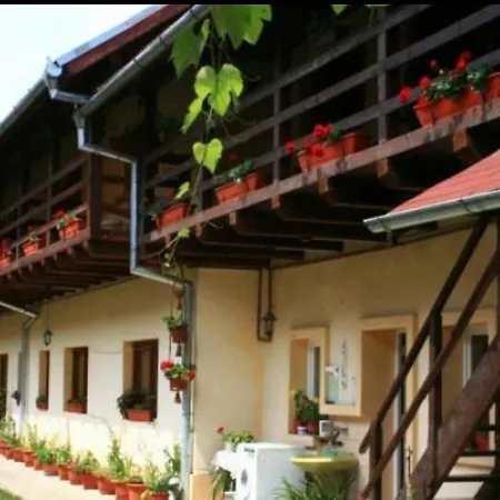 Pensiunea Leia Cârțișoara-2