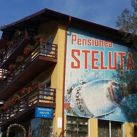 Pensiunea Steluta-2