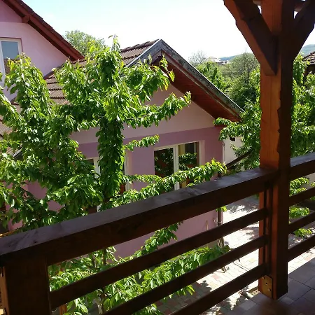 Casa Cu Butoi-2
