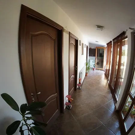 Vila Trandafir-2