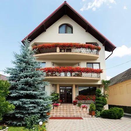 Camere de inchiriat Casa cu flori-3