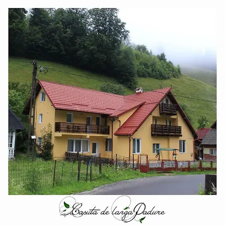 Căsuța de lângă pădure-2