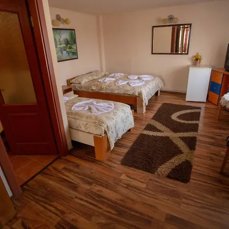 Vila Tei Guesthouse-3