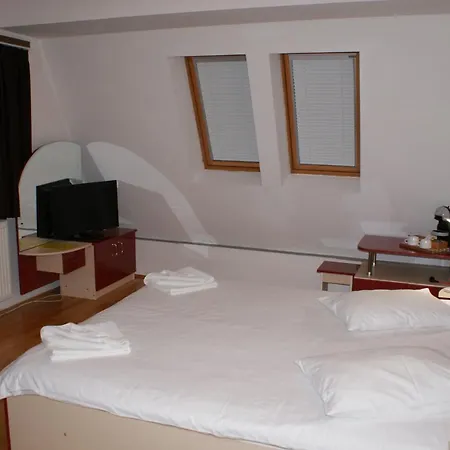 Vila Sorina-3