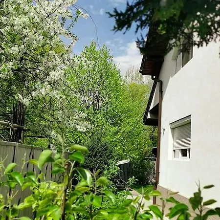 Casa File de Poveste-2