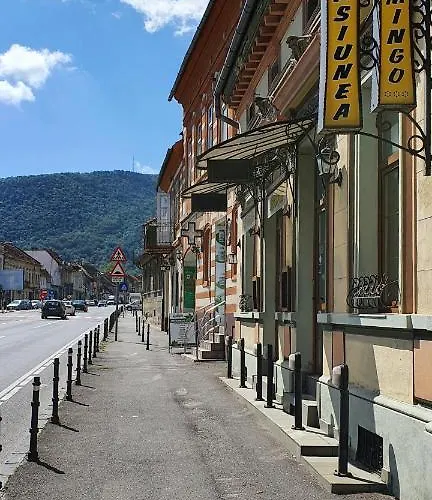 Pension Flamingo Brașov