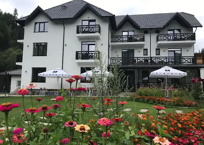 Pensiunea Edelweiss Voineasa