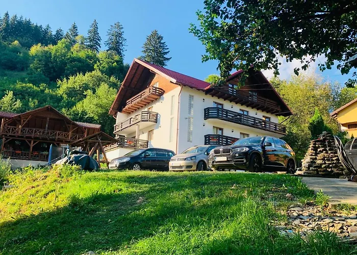 Pensiunea Pietrosul Borşa