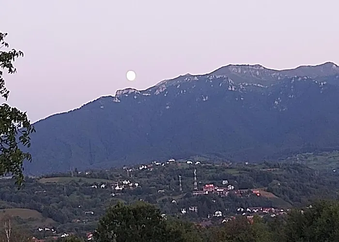 pensiunea Bella Predelut Bran 