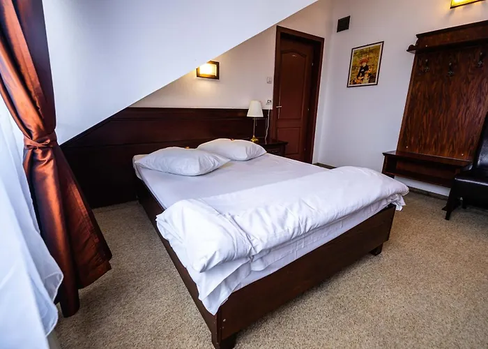 Pensiunea Flora Târgu-Mureş