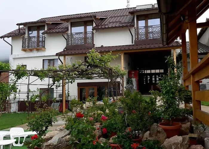 Casa Sviniceană Svinita