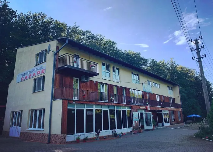 Pensiunea Păstrăvul Cîrţişoara