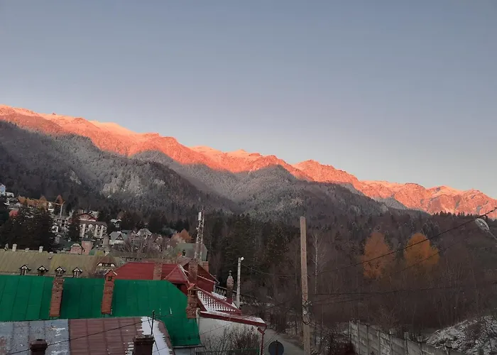 Pensiunea Floare de Colt Sinaia