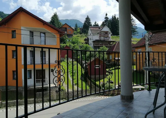 Pensiunea Timiș Borşa