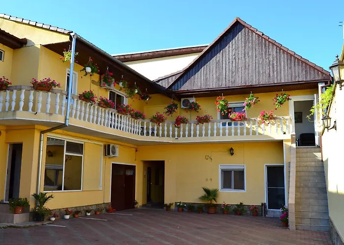 Pensiunea Alexander Arad