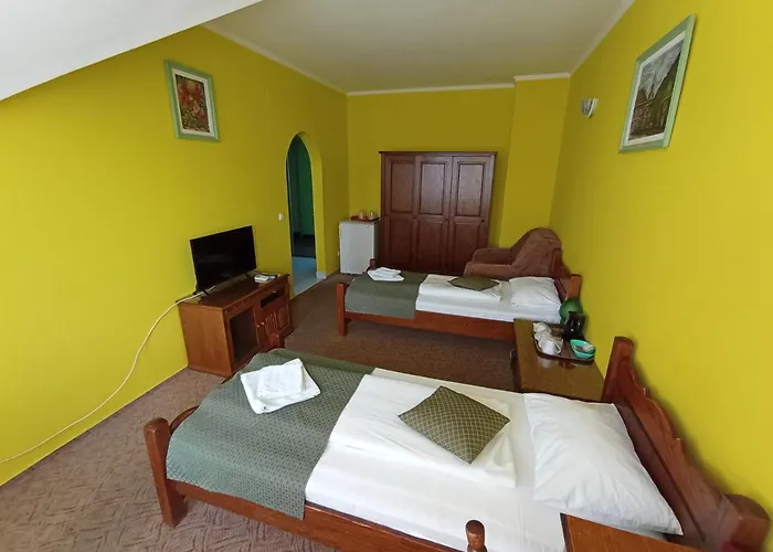 Pensiunea Cristina Târgu-Mureş