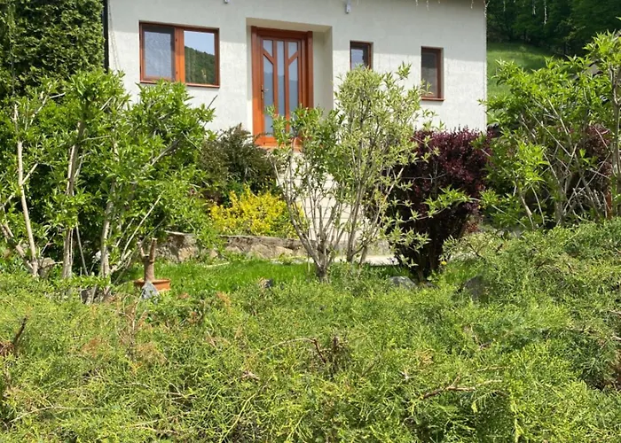 Casa dintre Brazi Hunedoara