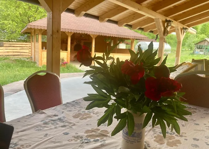 Casa Cris Hotel Durău