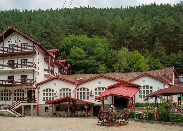 Pensiunea Alpin Păltiniş