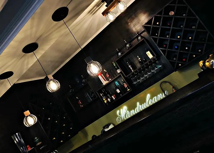 Pensiunea Mandruleanu Borşa