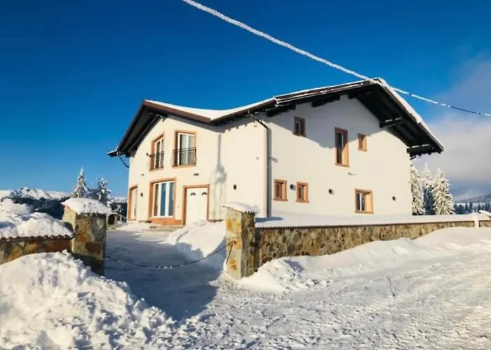 Pensiunea Mandruleanu Borşa