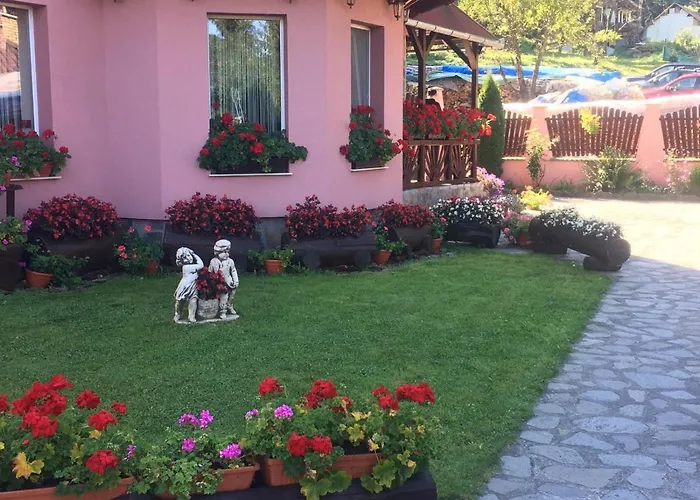 Pensiunea Contesa Sovata