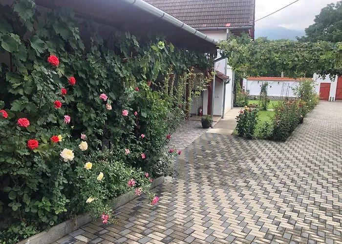 Pensiunea Flori Sibiel