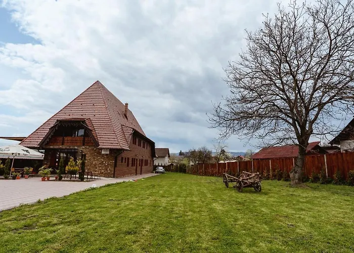 Piatra Soimului Hotel Vişeu de Sus