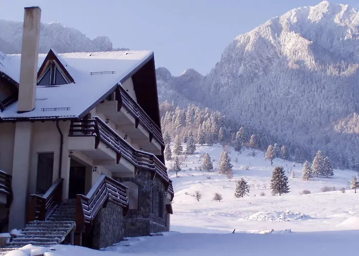 Taverna Pietrei Craiului Zărneşti