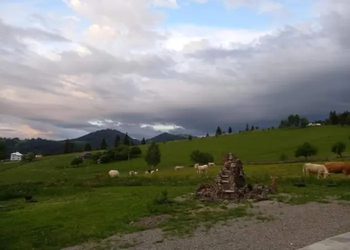 Casa Lena -Vatra Dornei Hotel