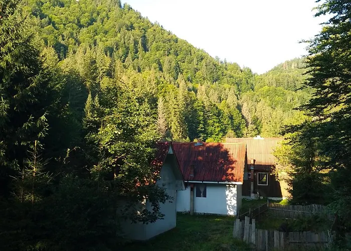 Cabana Valea Stanciului Răchițele