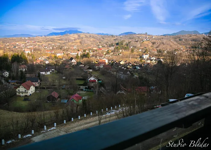 Pensiunea Ursuleț Bran Bran 