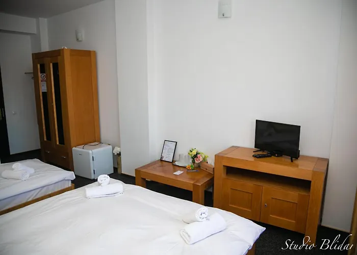 Pensiunea Ursuleț Bran Bran 