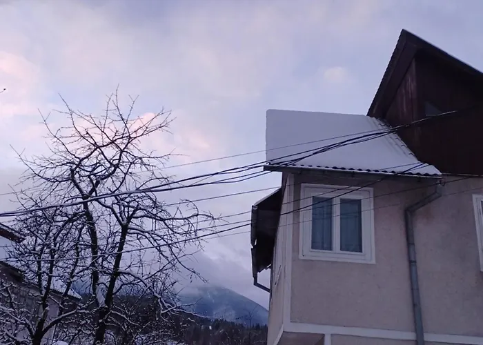 Odaia Bunicii Borşa