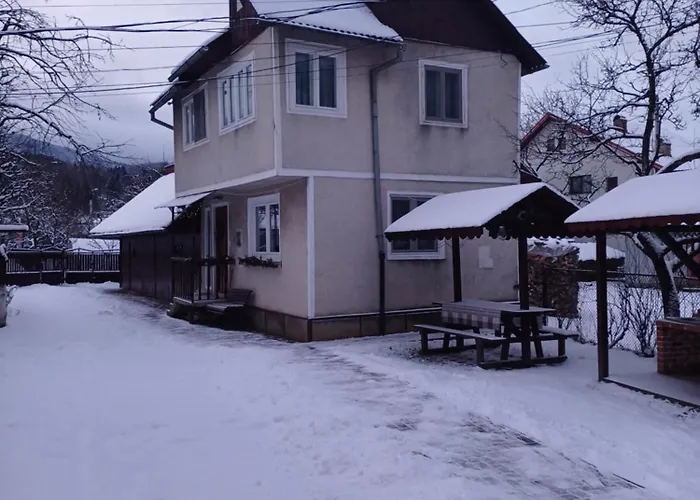 Odaia Bunicii Borşa