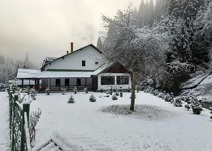 Cabana Bratei Moroeni