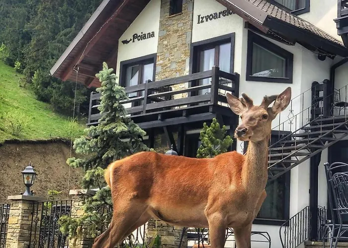 Poiana Izvoarelor Hotel Vatra Dornei