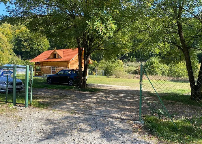 Pensiunea Arinul Sovata