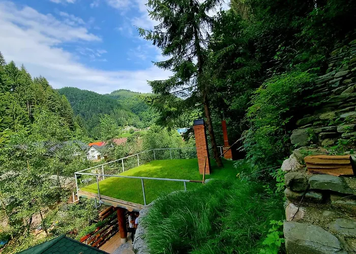 Căbănuța Cocoțată Hotel Rucăr