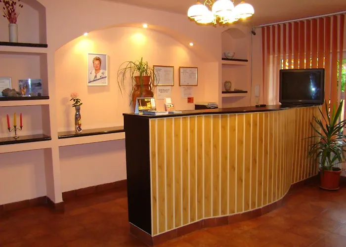 Pensiunea Vlad Timişoara