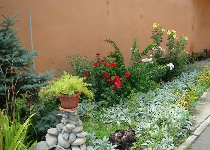 Pensiunea Vlad Timişoara