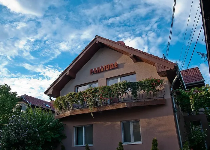 Pensiunea Miorita Arad