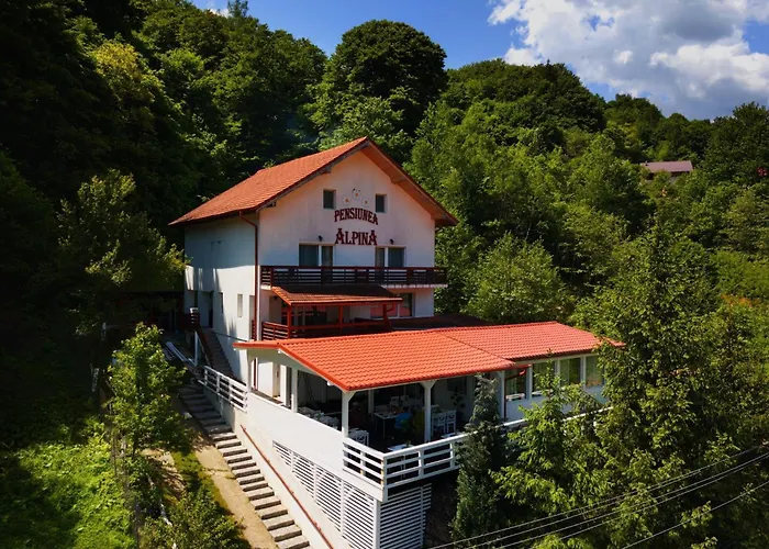 Pensiunea Alpina Malaia