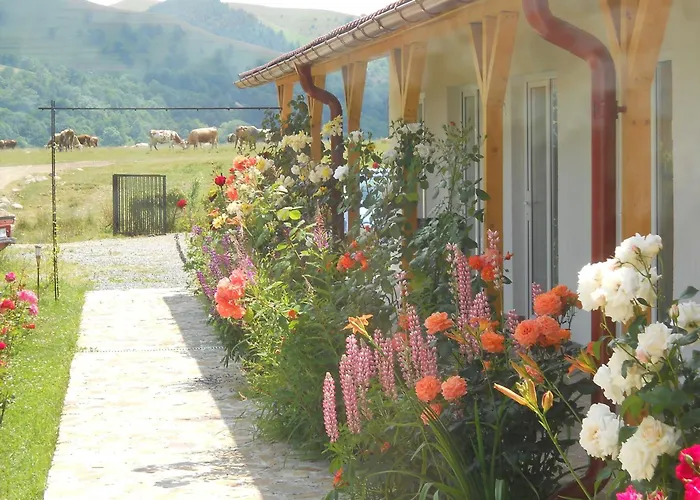Pensiunea Poezii Alese Valea Drăganului